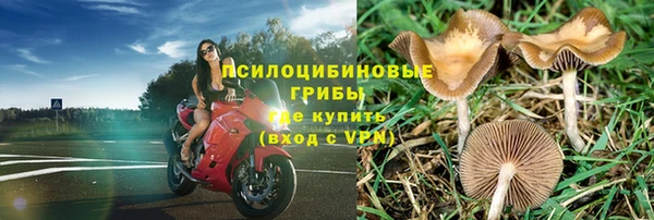 2c-b Михайловка