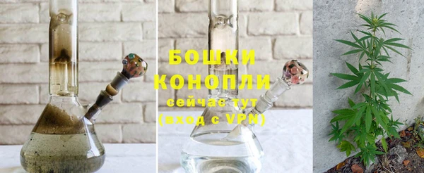 PSILOCYBIN Михайлов