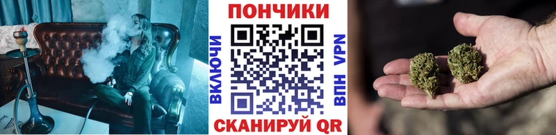 нарко площадка официальный сайт  как найти наркотики  Новосиль  Бошки Шишки OG Kush  MEGA вход 