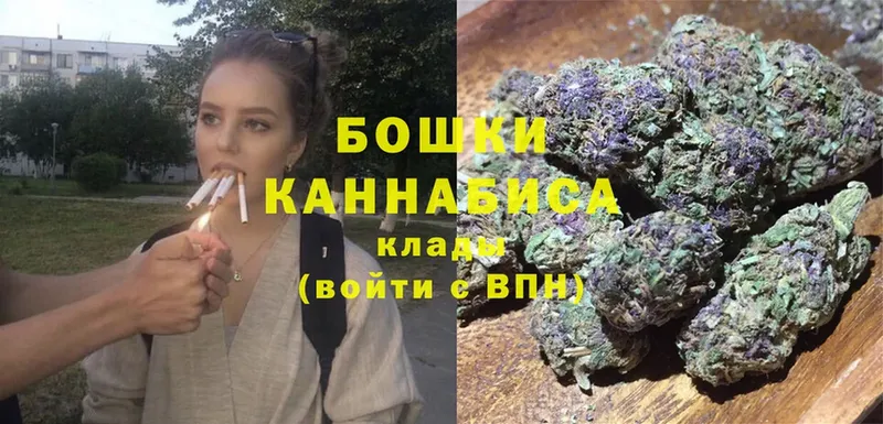 Конопля сатива  ссылка на мегу   Новосиль 